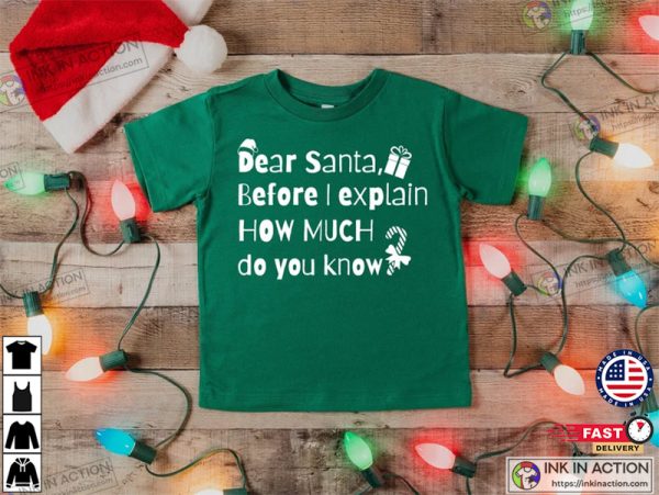 Funny Christmas Kids Shirt, Toddler Funny Christmas Shirt, Youth Christmas Shirt, Christmas Shirt For Kids