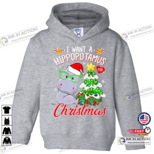 X mas I Want A Hippopotamus For Christmas Lights Santa Hippo Xmas Funny Gift Toddler Hoodie 1