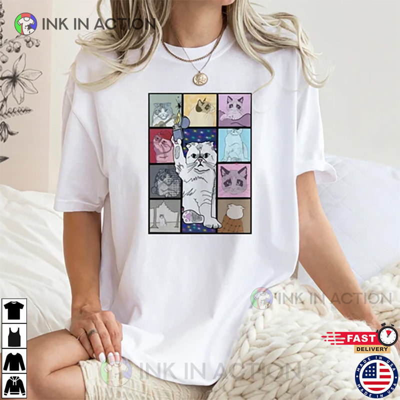 Customized Taylor Swift KARMA Is A Cat Memes T-shirt