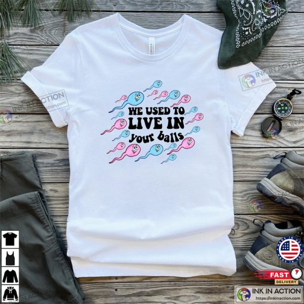 We Used To Live In Your Balls Shirt Funny Dad Gifts