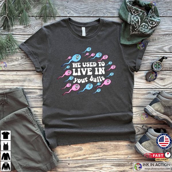 We Used To Live In Your Balls Shirt Funny Dad Gifts