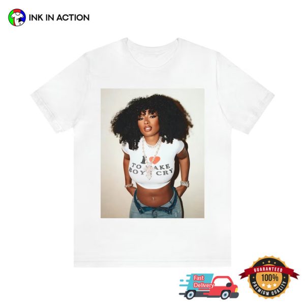 Megan Thee Stallion Tours Shirt, Vintage Inspired T-Shirt