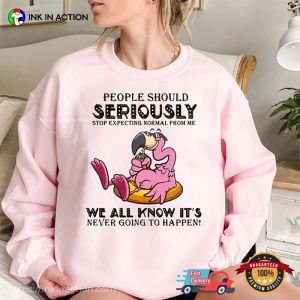 Flamingo Stop Asking Why I’m Crazy, Funny Flamingo T-shirt