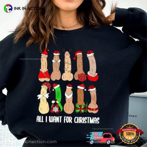 All I Want For Christmas Is Dicks Funny Christmas Adult Shirt