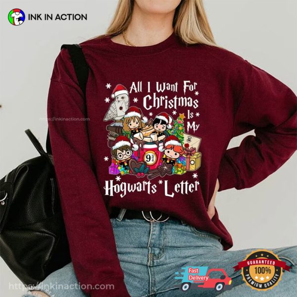 All I Want For Christmas Is My Hogwarts Letter HP T-Shirt