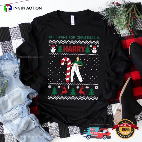 All I Want For Christmas is Harry Christmas T-shirt