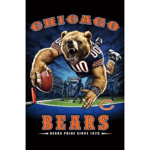 Chicago Bears Bears Pride Since 1920 NFL Theme Art Sports Shirt