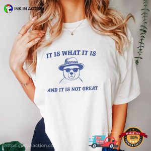 Comfort Colors It Is What It Is And It Is Not Great Funny Cartoon Bear Meme Shirt