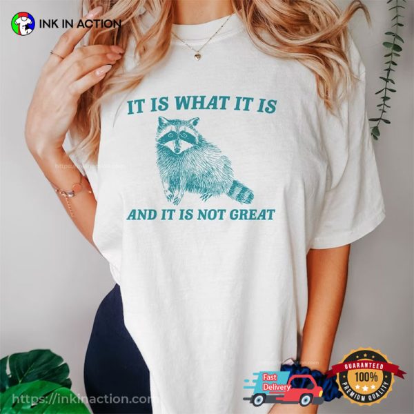 It Is What It Is And It Is Not Great Funny Trash Panda Meme T-shirts