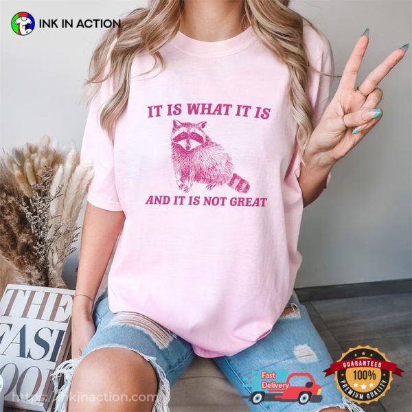 It Is What It Is And It Is Not Great Funny Trash Panda Meme T-shirts