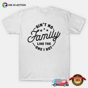 Ain't No Family Like The One I Got T shirt, world family day Apparel 3