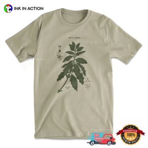 Coffea Arabica Plant Diagram Comfort Colors Tee 3