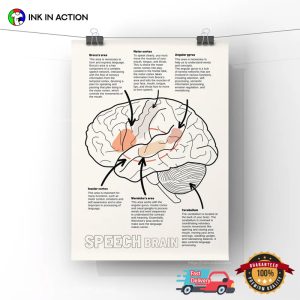 Speech Brain Anatomy slp therapy Poster 2