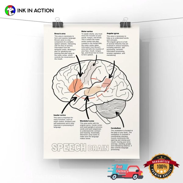 Speech Brain Anatomy SLP Therapy Poster