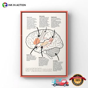 Speech Brain Anatomy slp therapy Poster 4