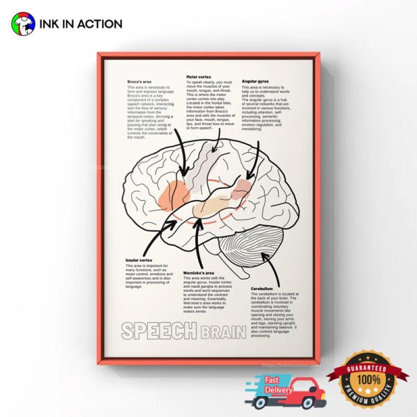 Speech Brain Anatomy SLP Therapy Poster