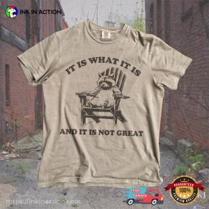 Vintage 90s Funny Racoon Comfort Colors T-shirt