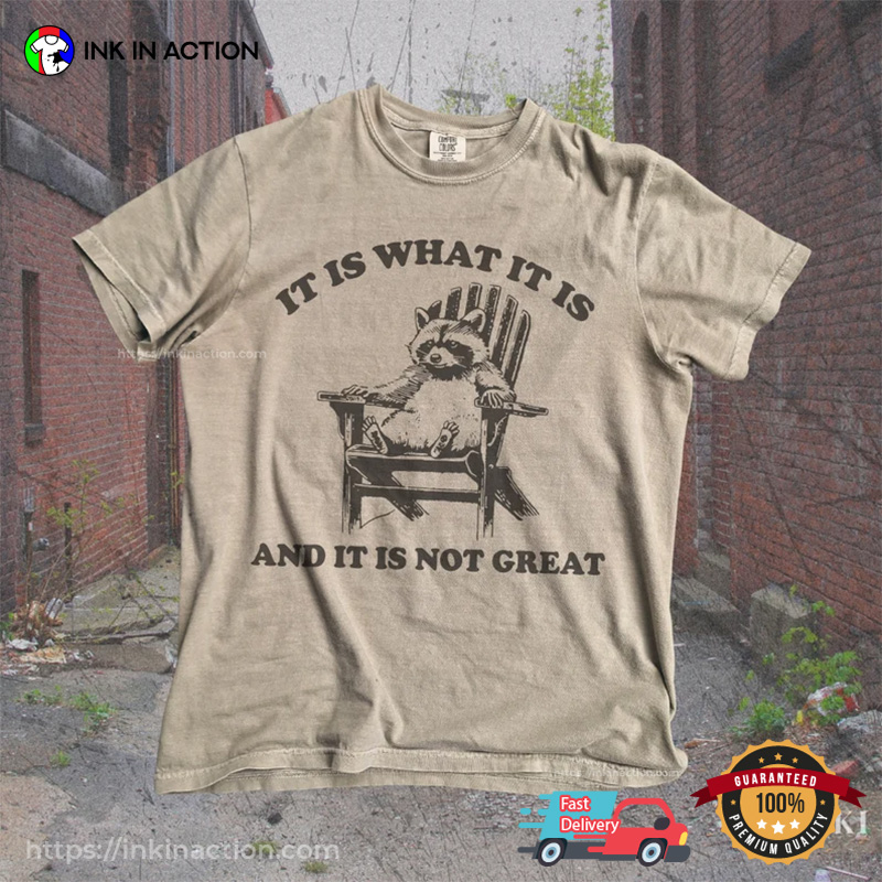 Vintage 90s Funny Racoon Comfort Colors T-shirt