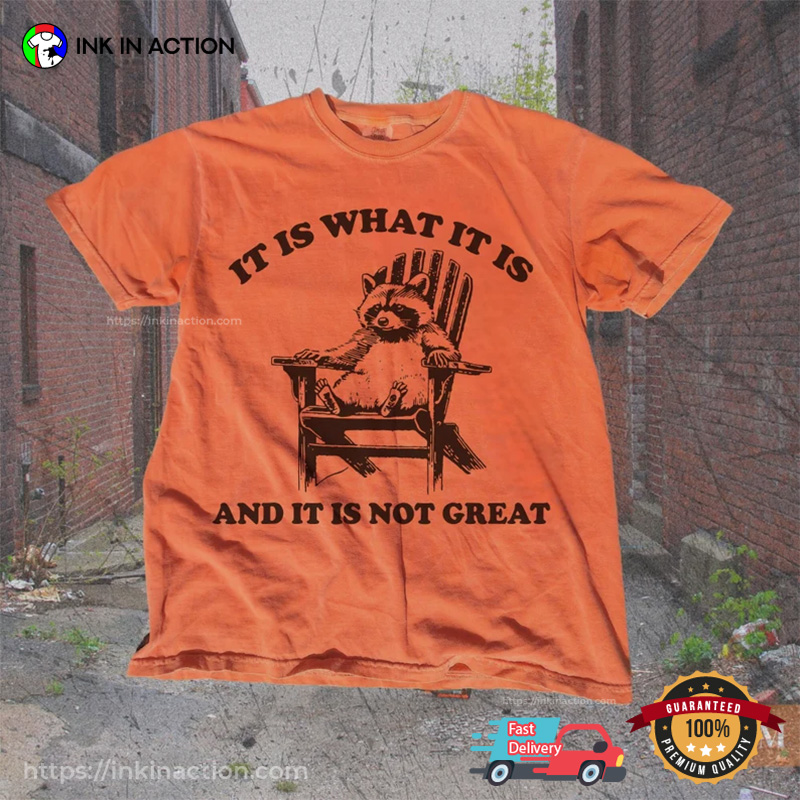 Vintage 90s Funny Racoon Comfort Colors T-shirt