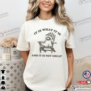 Vintage 90s Funny Racoon Comfort Colors T-shirt