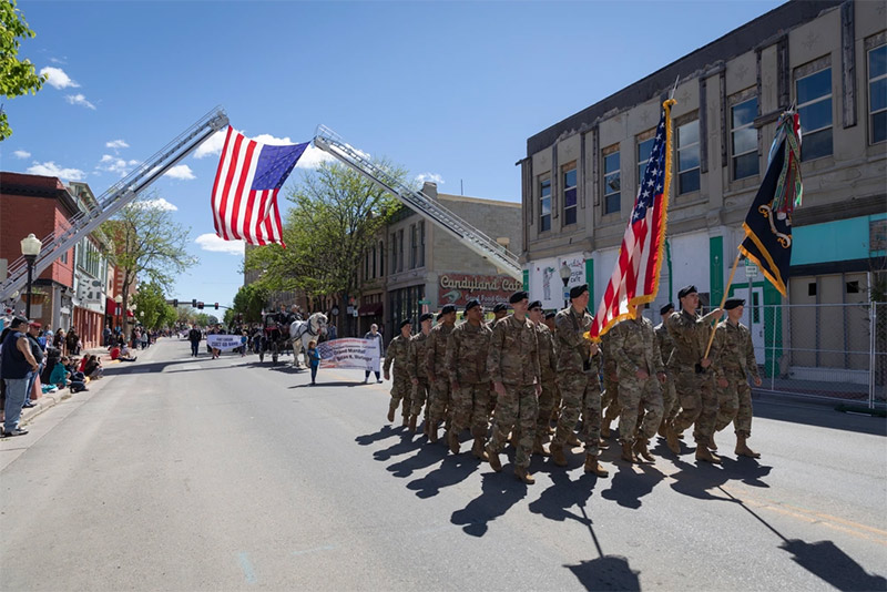 Armed Forces Day parades
