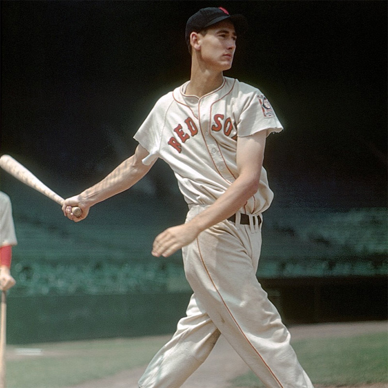 ted williams 2