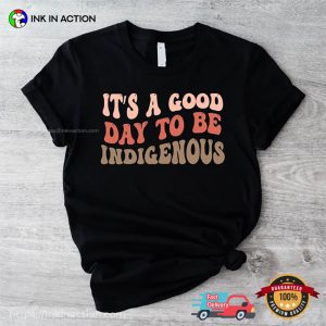 It's A Good Day To Be Indigenous, Native American Pride T shirt 2