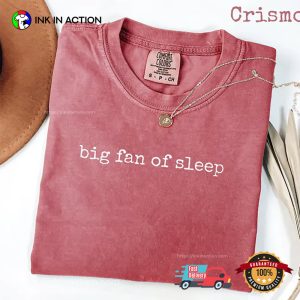 Big Fan Of Sleep Funny Sleeping Quote Comfort Colors Tee
