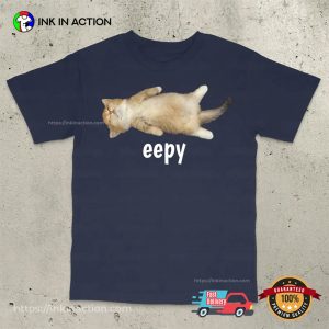 Silly Sleepy Cat Unhinged Sarcastic Humor Meme T-Shirt