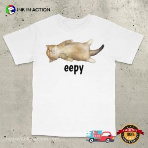 Silly Sleepy Cat Unhinged Sarcastic Humor Meme T Shirt 2 InkInAction.com