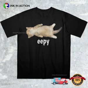 Silly Sleepy Cat Unhinged Sarcastic Humor Meme T Shirt 3 InkInAction.com