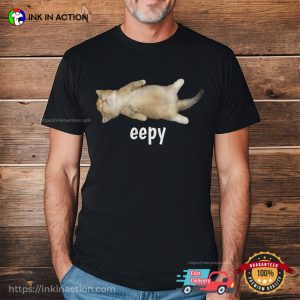 Silly Sleepy Cat Unhinged Sarcastic Humor Meme T-Shirt
