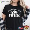 Promoted To Big Sister And Brother Shirt