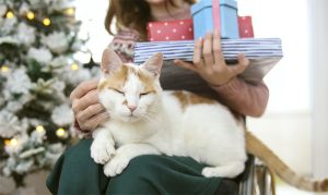 Cat Lovers Gifts 5 Funny Shirts