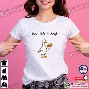 Hey It’s PI Day, Silly Goose Teachers Shirts​